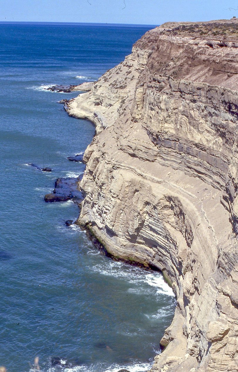 Valdés Peninsula 16